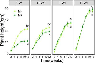 Effects of arbuscular mycorrhizal fungi on plant growth and herbivore infestation depend on availability of soil water and nutrients